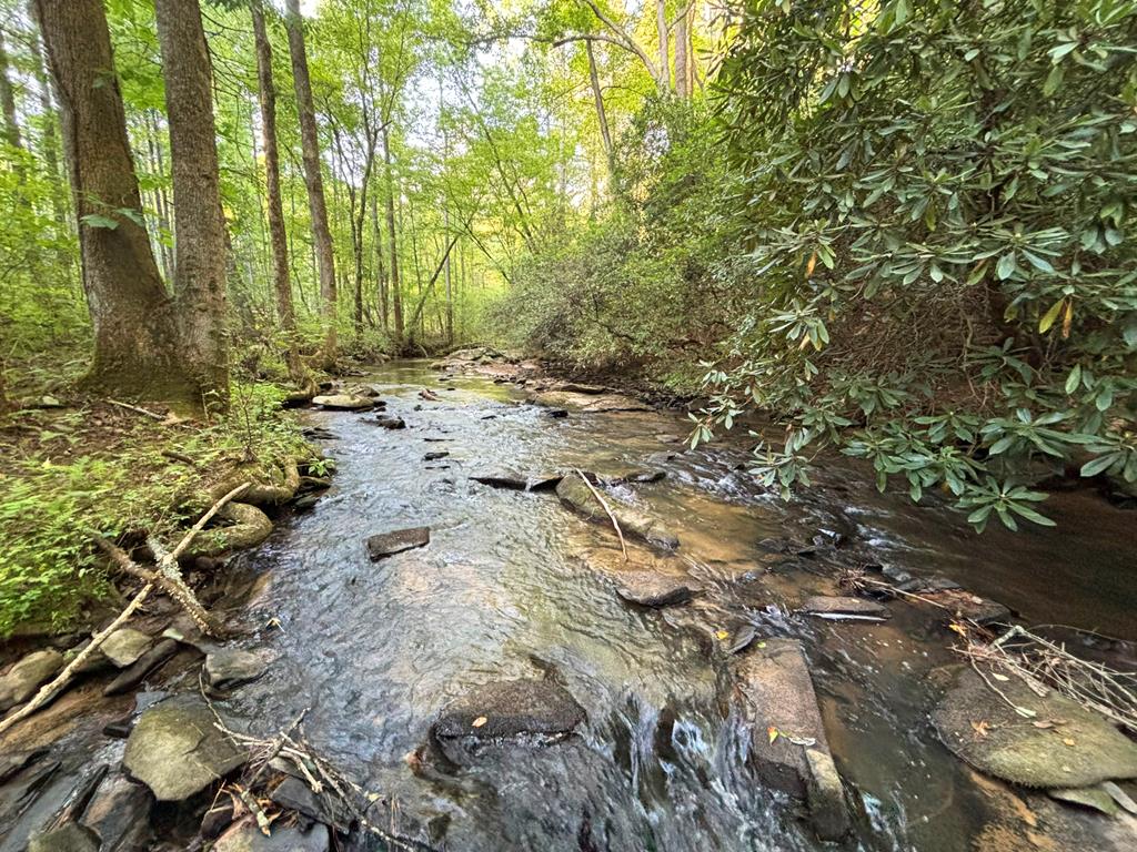Lot 6 Mount Springer Road Ellijay GA 30540