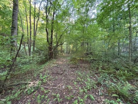 Lot 6 Mount Springer Road Ellijay GA 30540