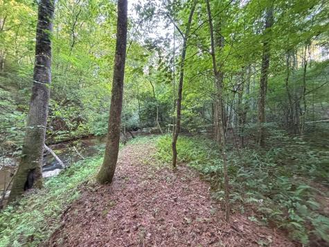 Lot 6 Mount Springer Road Ellijay GA 30540