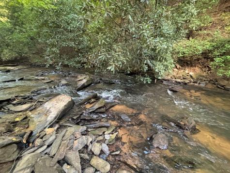 Lot 6 Mount Springer Road Ellijay GA 30540