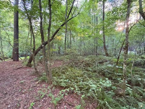Lot 6 Mount Springer Road Ellijay GA 30540