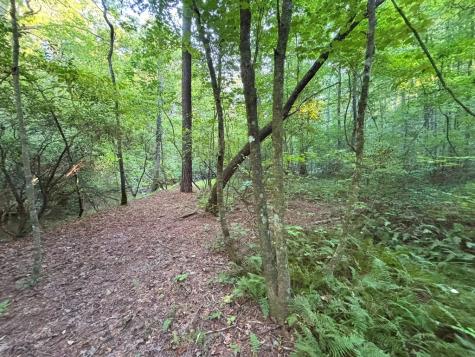 Lot 6 Mount Springer Road Ellijay GA 30540