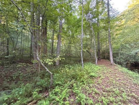 Lot 6 Mount Springer Road Ellijay GA 30540