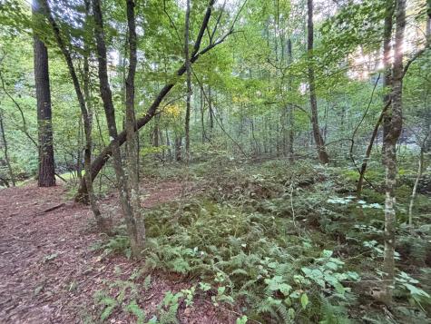 Lot 6 Mount Springer Road Ellijay GA 30540