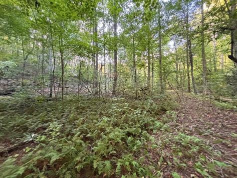 Lot 6 Mount Springer Road Ellijay GA 30540