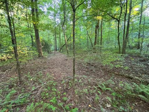 Lot 6 Mount Springer Road Ellijay GA 30540
