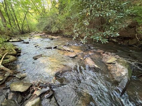 Lot 6 Mount Springer Road Ellijay GA 30540
