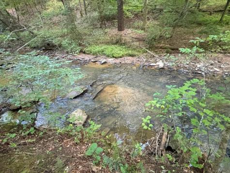 Lot 6 Mount Springer Road Ellijay GA 30540