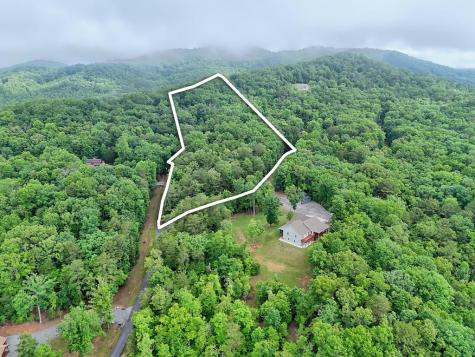 Lt 16,19 Pheasant Trail Warne NC 28909