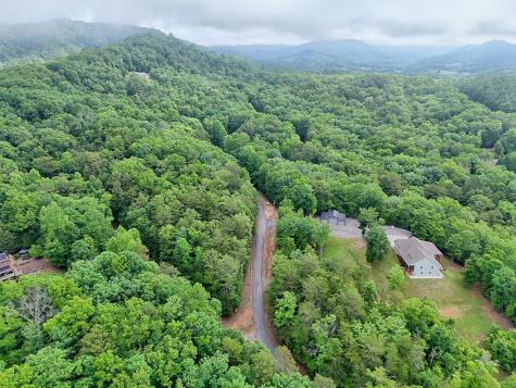 Lt 16,19 Pheasant Trail Warne NC 28909