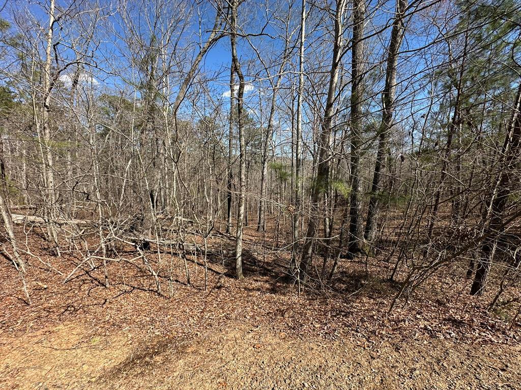 Lot 33 Harris Creek Drive Ellijay GA 30540
