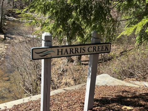 Lot 33 Harris Creek Drive Ellijay GA 30540