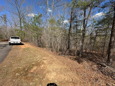 Lot 33 Harris Creek Drive Ellijay GA 30540