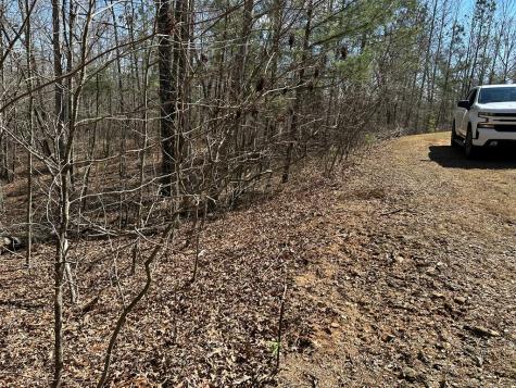 Lot 33 Harris Creek Drive Ellijay GA 30540