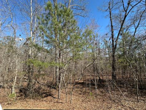 Lot 33 Harris Creek Drive Ellijay GA 30540