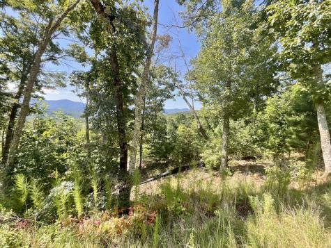 Lot 129 Winding Ridge Blairsville GA 30512