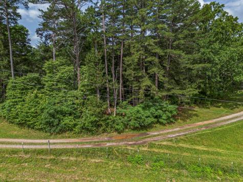 541 Pleasant Hill Road Copperhill TN 37317