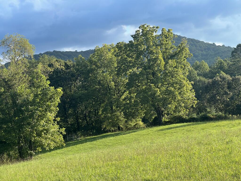 5.8 Ac Lebanon Road Blue Ridge GA 30513
