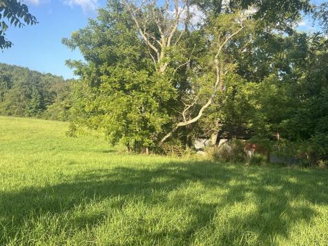 5.8 Ac Lebanon Road Blue Ridge GA 30513