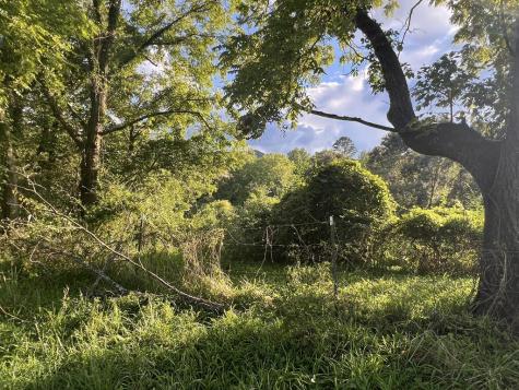 5.8 Ac Lebanon Road Blue Ridge GA 30513