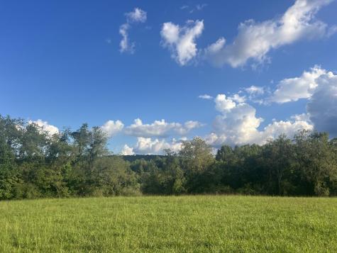 5.8 Ac Lebanon Road Blue Ridge GA 30513