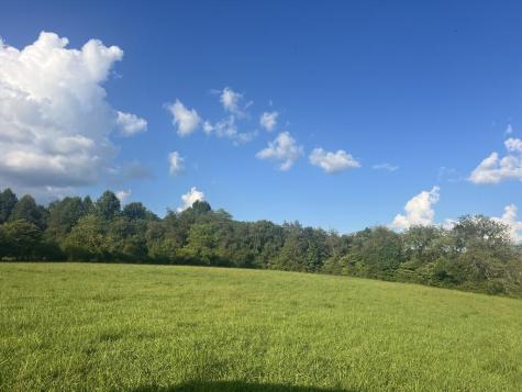 5.8 Ac Lebanon Road Blue Ridge GA 30513