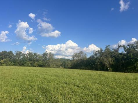 5.8 Ac Lebanon Road Blue Ridge GA 30513