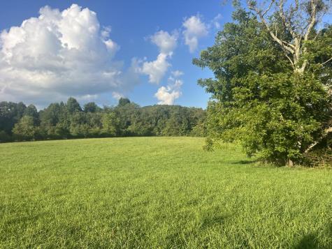 5.8 Ac Lebanon Road Blue Ridge GA 30513