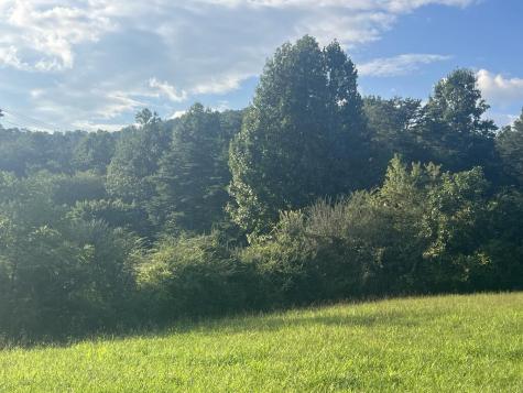 5.8 Ac Lebanon Road Blue Ridge GA 30513