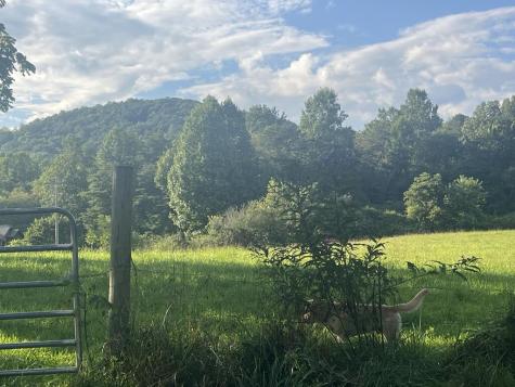 5.8 Ac Lebanon Road Blue Ridge GA 30513
