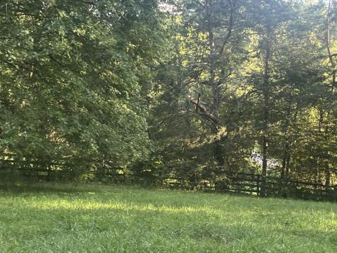 5.8 Ac Lebanon Road Blue Ridge GA 30513