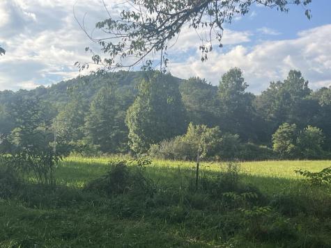 5.8 Ac Lebanon Road Blue Ridge GA 30513