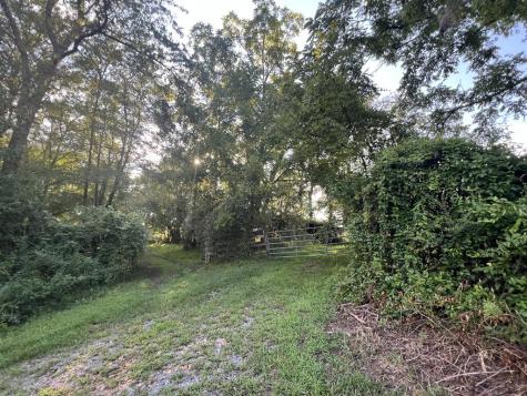 5.8 Ac Lebanon Road Blue Ridge GA 30513