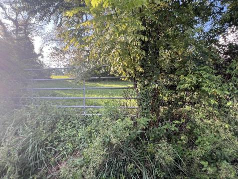 5.8 Ac Lebanon Road Blue Ridge GA 30513