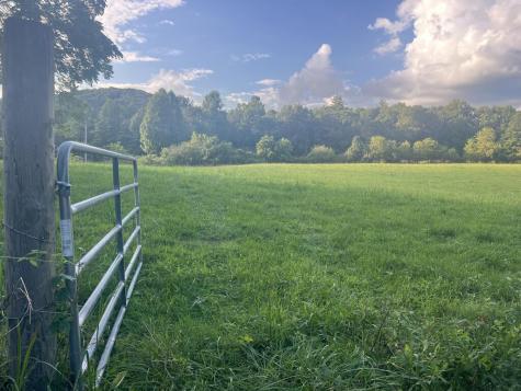 5.8 Ac Lebanon Road Blue Ridge GA 30513