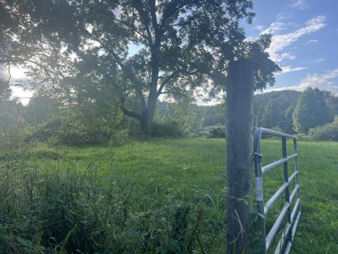 5.8 Ac Lebanon Road Blue Ridge GA 30513