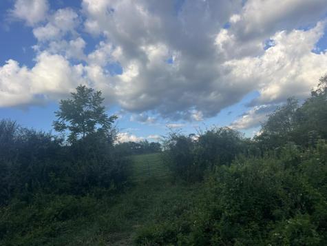 5.8 Ac Lebanon Road Blue Ridge GA 30513