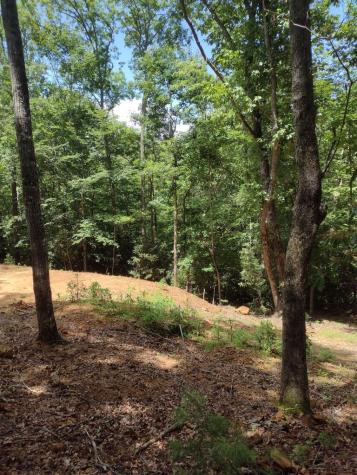 0 Radiant Cove Brasstown NC 28902