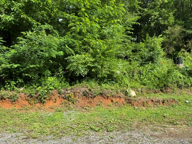 92 Benji Drive Ellijay GA 30540