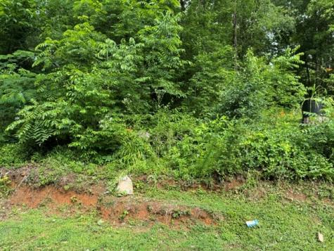 92 Benji Drive Ellijay GA 30540