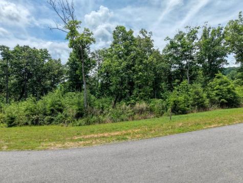 Lot 124 Highland Park Blairsville GA 30512