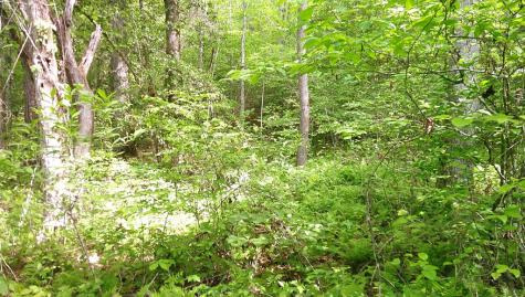 00 Mcdonald Road Murphy NC 28906