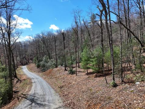Lot 9 Native Trail Blue Ridge GA 30513