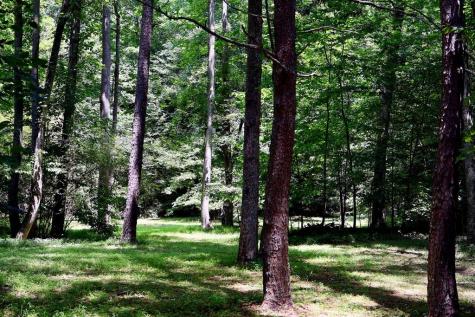 00 Wolf Mountain Road Murphy NC 28906