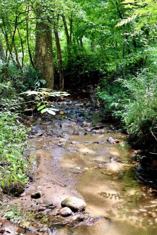 00 Wolf Mountain Road Murphy NC 28906