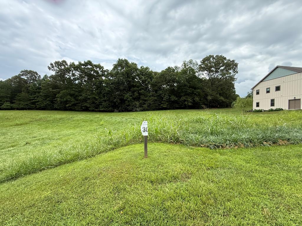 Lot 30 The Grove @ Highland Blairsville GA 30512