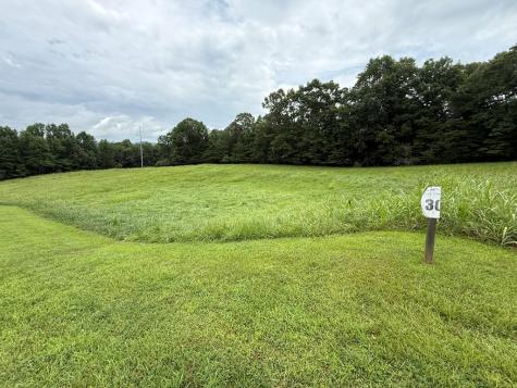 Lot 30 The Grove @ Highland Blairsville GA 30512