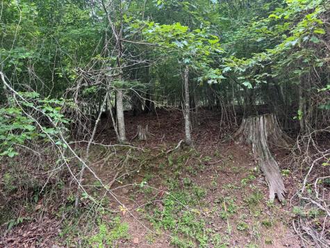 5531 Fires Creek Road Hayesville NC 28904