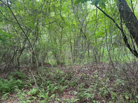 5531 Fires Creek Road Hayesville NC 28904