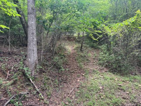 5531 Fires Creek Road Hayesville NC 28904